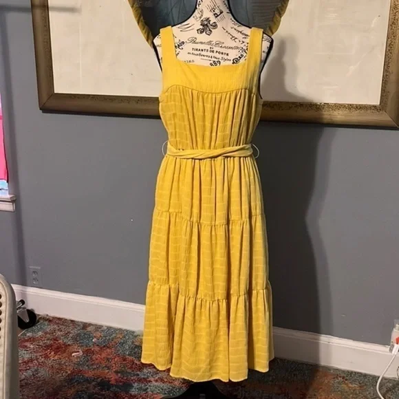 Slate & willow beautiful double lined dress. Elastic waist - Picture 1 of 8